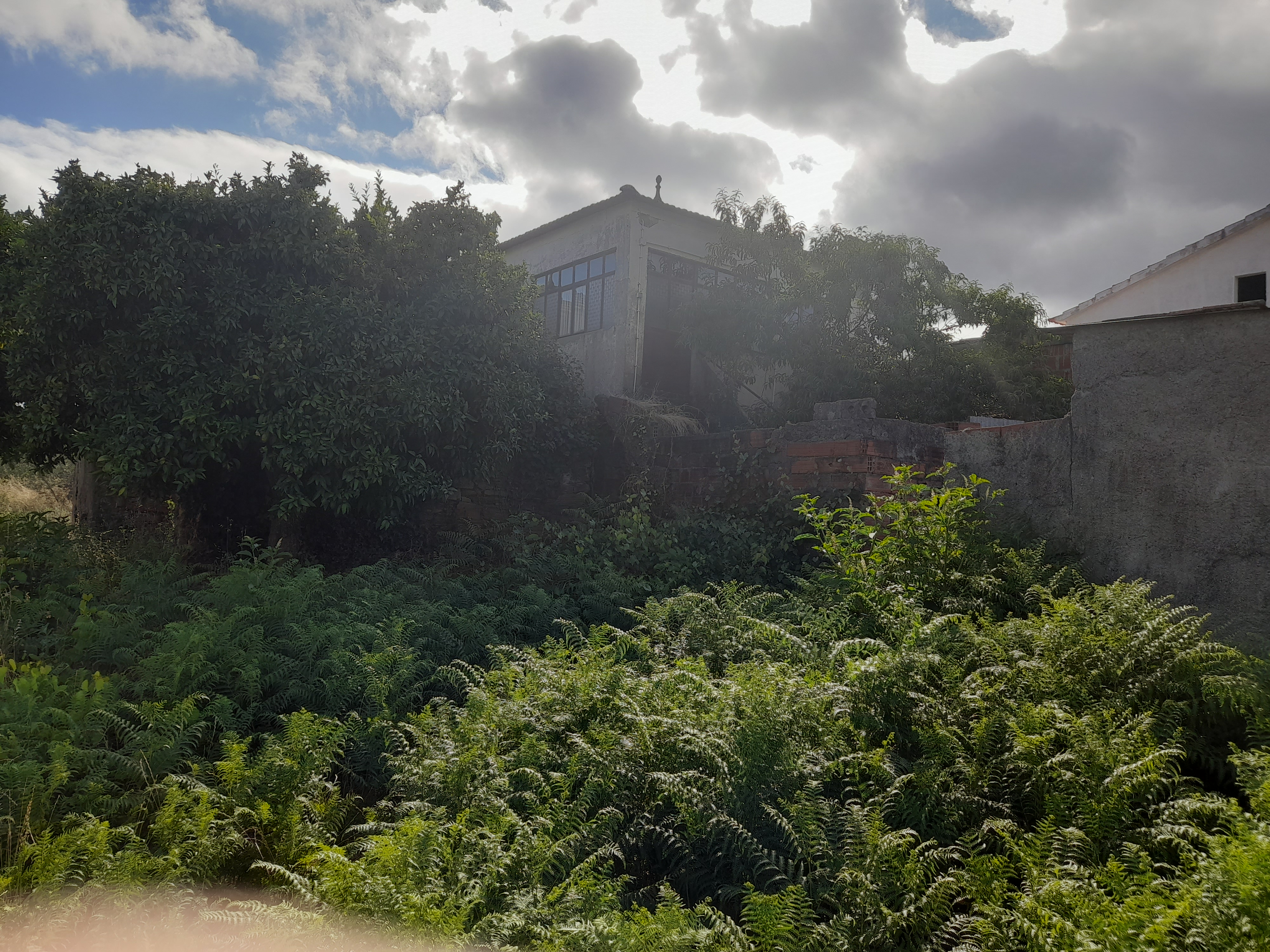 Moradia T2 – Vila Facaia - foto 4