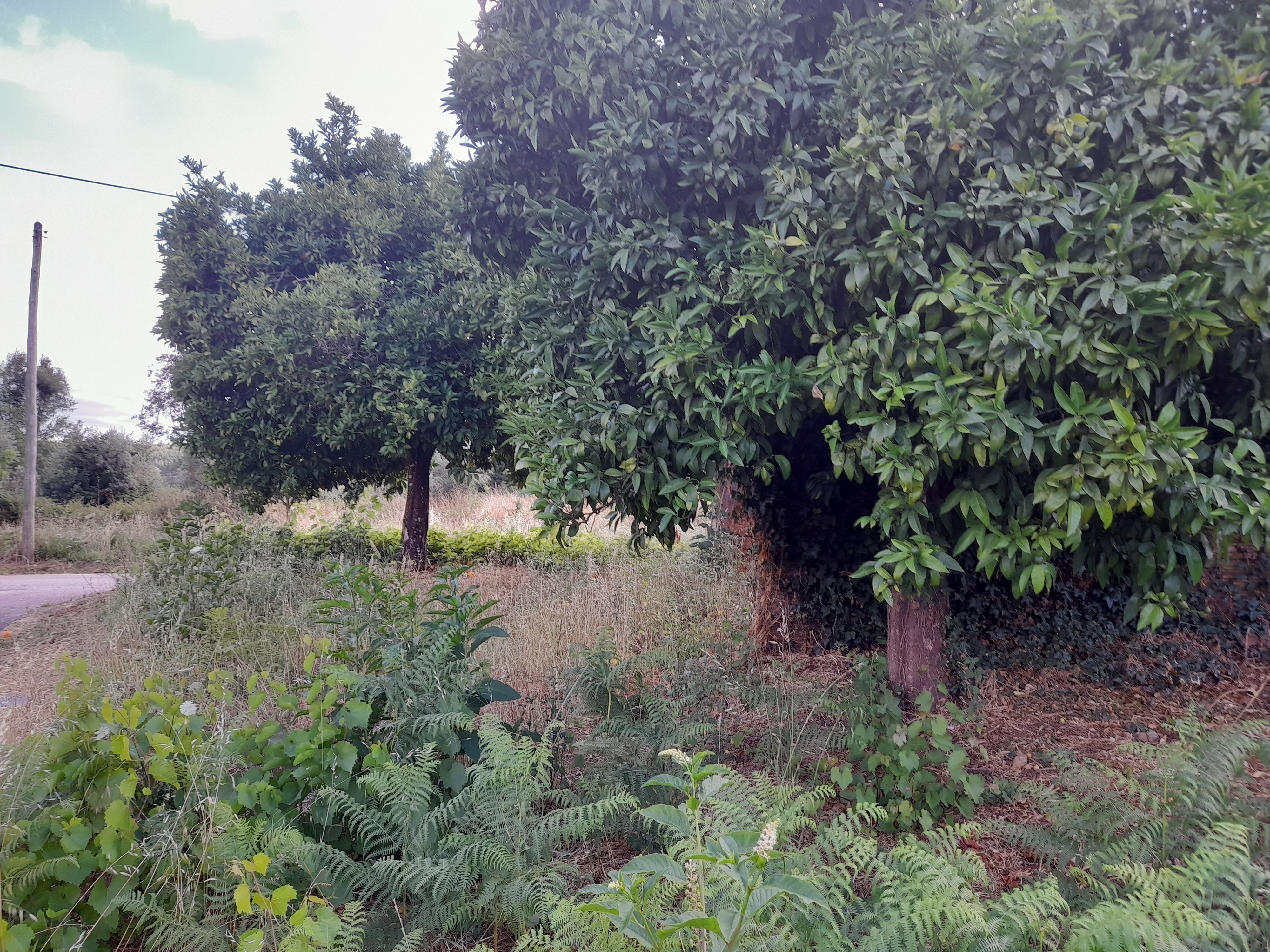 Moradia T2 – Vila Facaia - foto 7