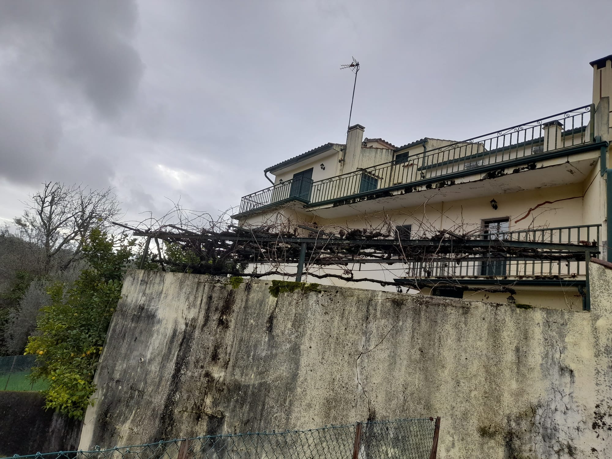 Moradia T5 - Figueiró dos Vinhos - foto 4