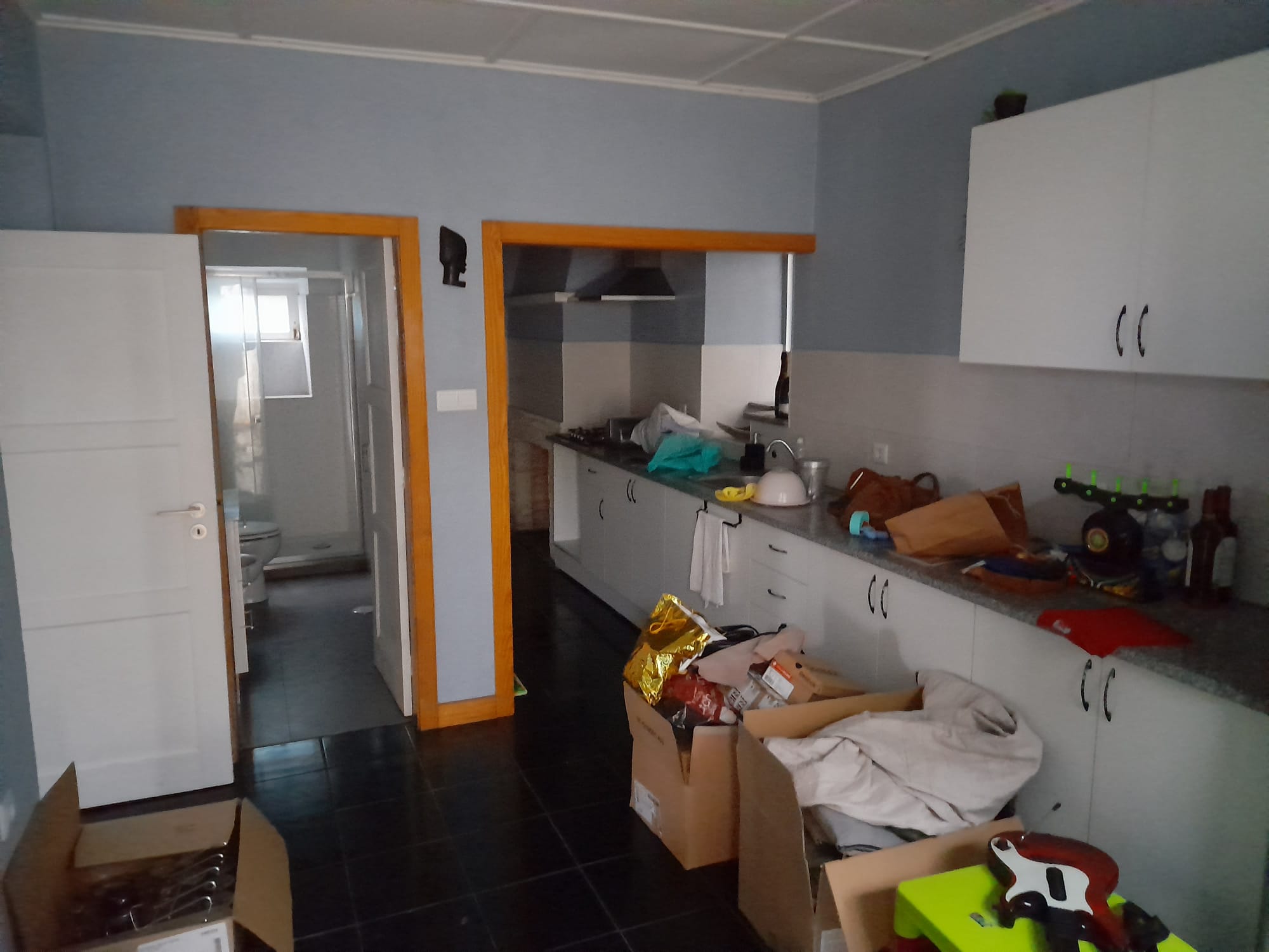 Moradia M3 - Figueiró Dos Vinhos - foto 13