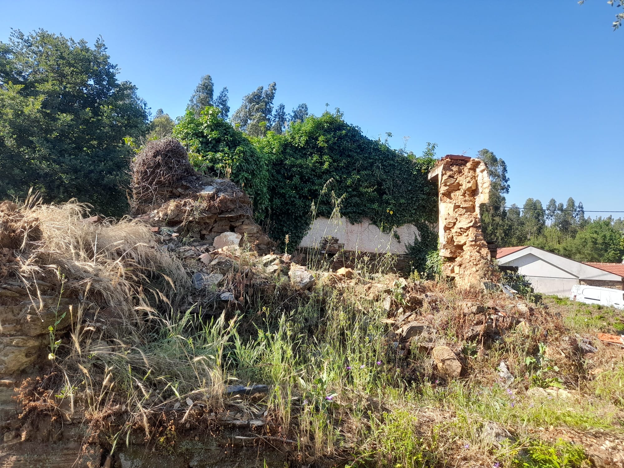 Moradia Pedra restauro - Pedrogão grande - foto 7